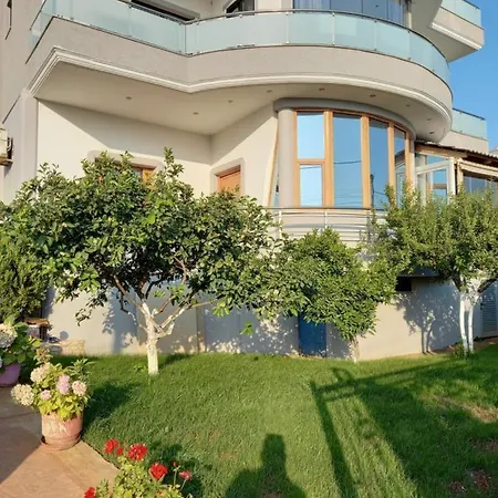 酒店 Olserd Shehu *