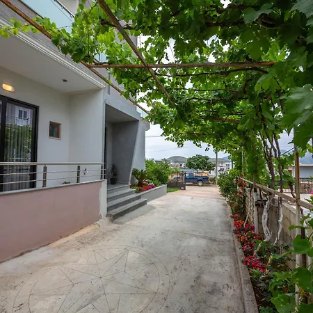 Olserd Shehu * クサミル