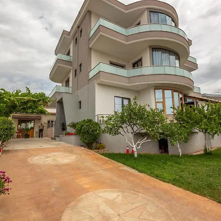 Olserd Shehu * كساميل