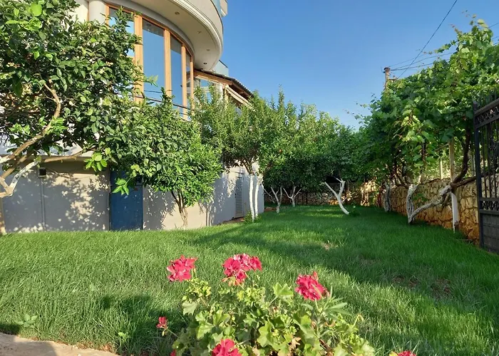 ホテル Olserd Shehu *