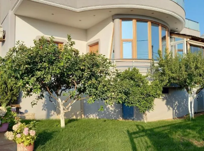 ホテル Olserd Shehu *