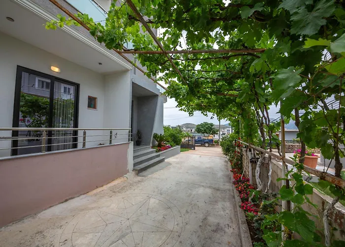 Olserd Shehu * クサミル