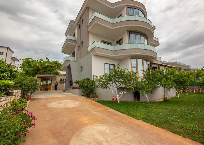 Olserd Shehu * クサミル